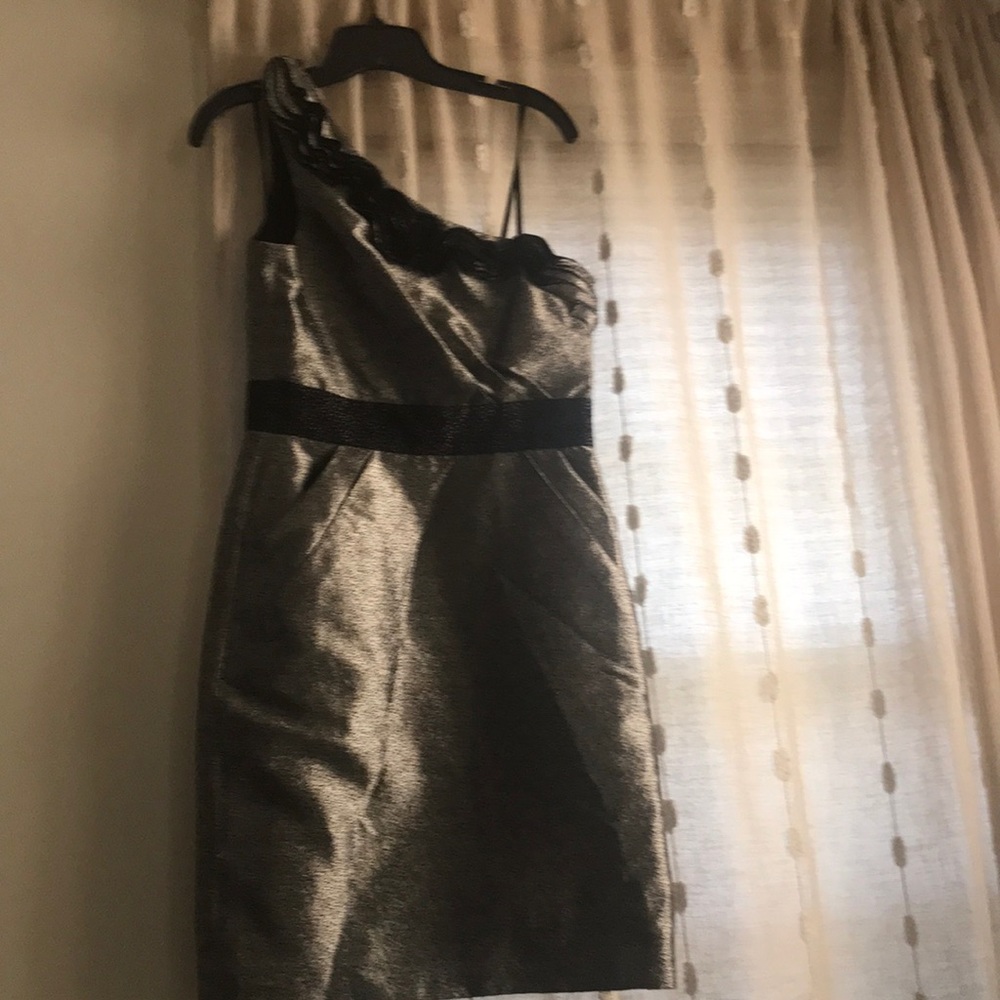Silver dress